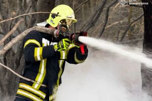 Масштабні пожежі в екосистемах Вінницької області: за добу ліквідовано 38 загорянь