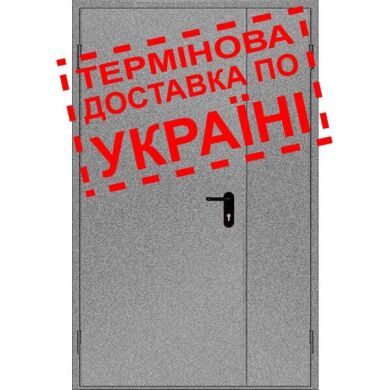 Двери противопожарные металлические глухие ДМП ЕІ30-2-2100х1250 лев., ЕвроСтандарт фото 1