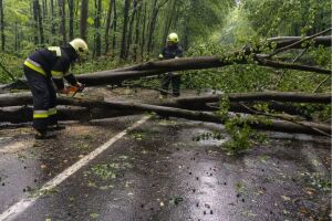 Негода на Львівщині: наслідки стихії та правила безпеки