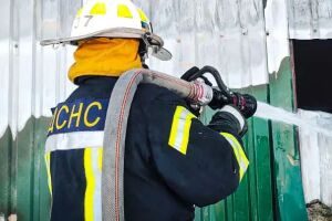 Масштабный пожар в Новых Петровцах: под Вышгородом ликвидировали возгорание на СТО