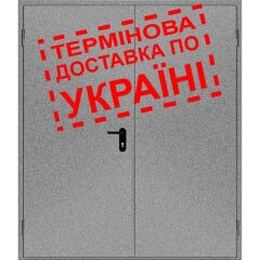 Двери противопожарные металлические глухие ДМП ЕІ30-2-2100х1450 лев., ЕвроСтандарт фото 1