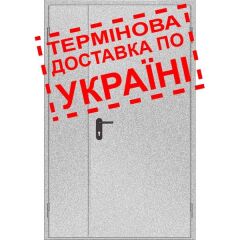 Двери противопожарные металлические глухие ДМП ЕІ30-2-2100х1300 прав., ЕвроСтандарт фото 1