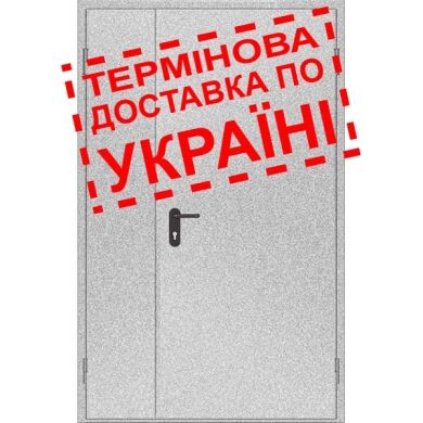 Двери противопожарные металлические глухие ДМП ЕІ30-2-2100х1300 прав., ЕвроСтандарт фото 1