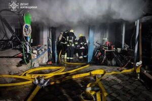 Пожежа інвертора в гаражі на Київщині: оперативна робота ДСНС та важливі висновки