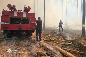 Масштабна лісова пожежа на Житомирщині: рятувальники ДСНС локалізували загрозу