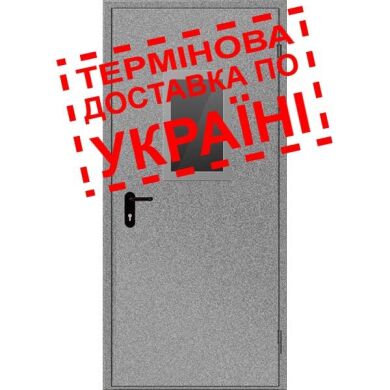 Двері протипожежні металеві з склінням ДМП ЕІ60-1-2100х950 прав., ЄвроСтандарт фото 1