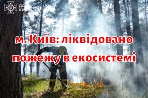 м. Київ: ліквідовано пожежу в екосистемі