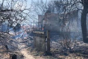 Масштабный пожар на Житомирщине: из-за поджога сухой травы сгорело 27 домов