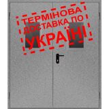 Двері протипожежні металеві з склінням ДМП ЕІ60-2-2100x1550 прав., ЄвроСтандарт фото 1