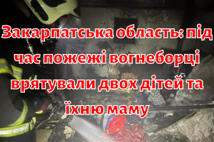 Закарпатська область: під час пожежі вогнеборці врятували двох дітей та їхню маму