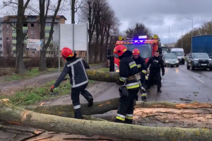 Ліквідація наслідків негоди на Вінниччині: ДСНС розчищають шляхи