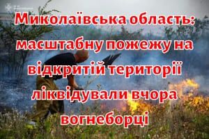 Миколаївська область: масштабну пожежу на відкритій території ліквідували вчора вогнеборці