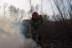 В Ужгородском районе бдительность подростков помогла предотвратить масштабный пожар сухостоя