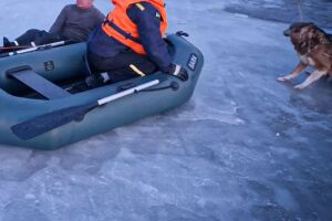 У Білій Церкві рятувальники дістали з крижаної води чоловіка та собаку