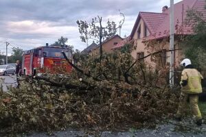 Наслідки негоди на Закарпатті: робота ДСНС та правила безпеки