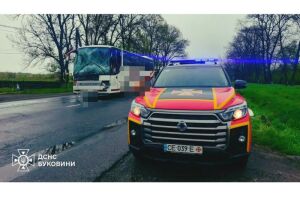 Спасательная операция на Буковине: ДСНС разблокировала автобус с детьми после падения дерева