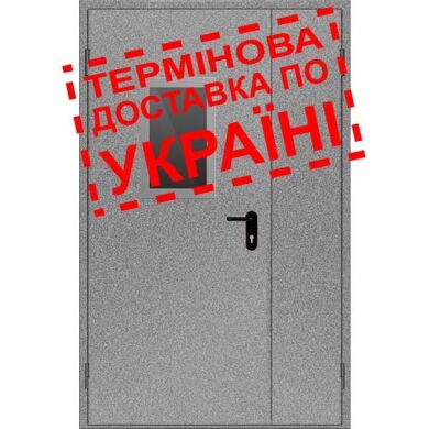 Двері протипожежні металеві з склінням ДМП ЕІ60-2-2100x1250 лів., ЄвроСтандарт фото 1